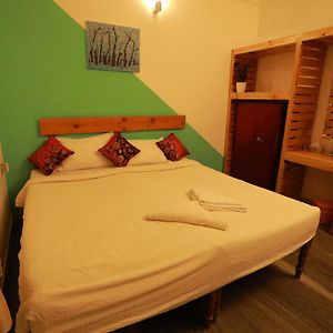 Habitación Estándar con Cama King